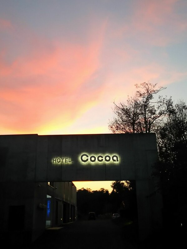 Гостиница Hotel Cocoa