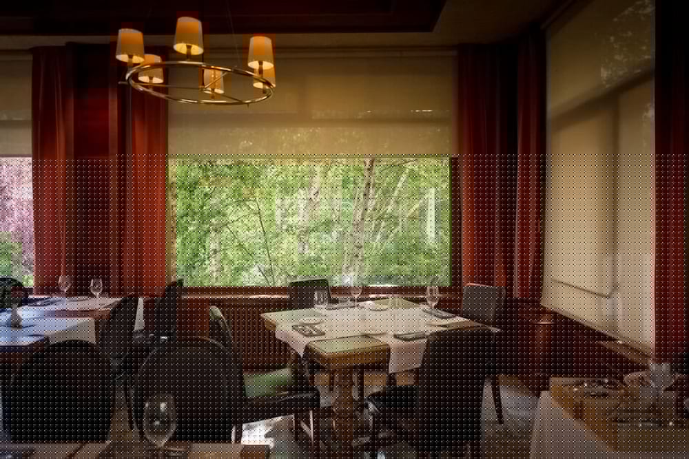 Фото Hotel Pessets & SPA