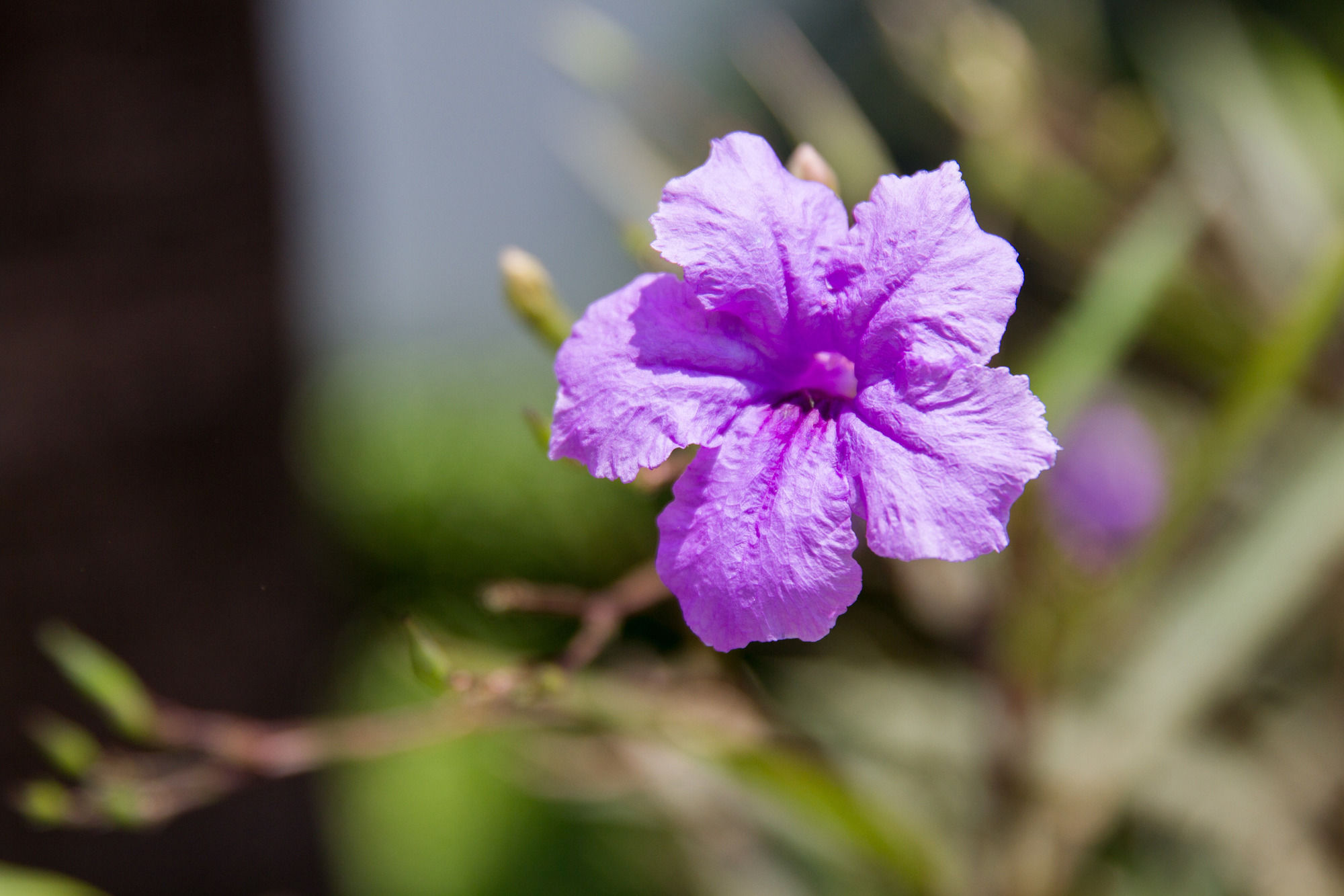 Фото Good Time Resort