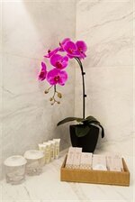 Фото Hotel NuVe Heritage