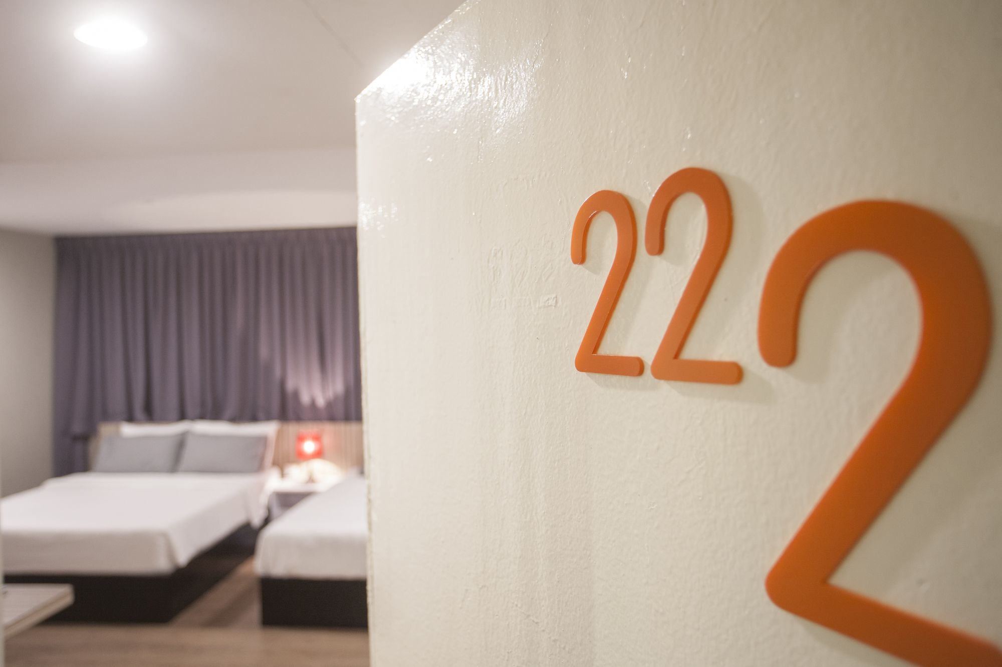 Фото 54971778990