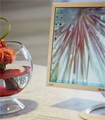 Фото Irvine Marriott