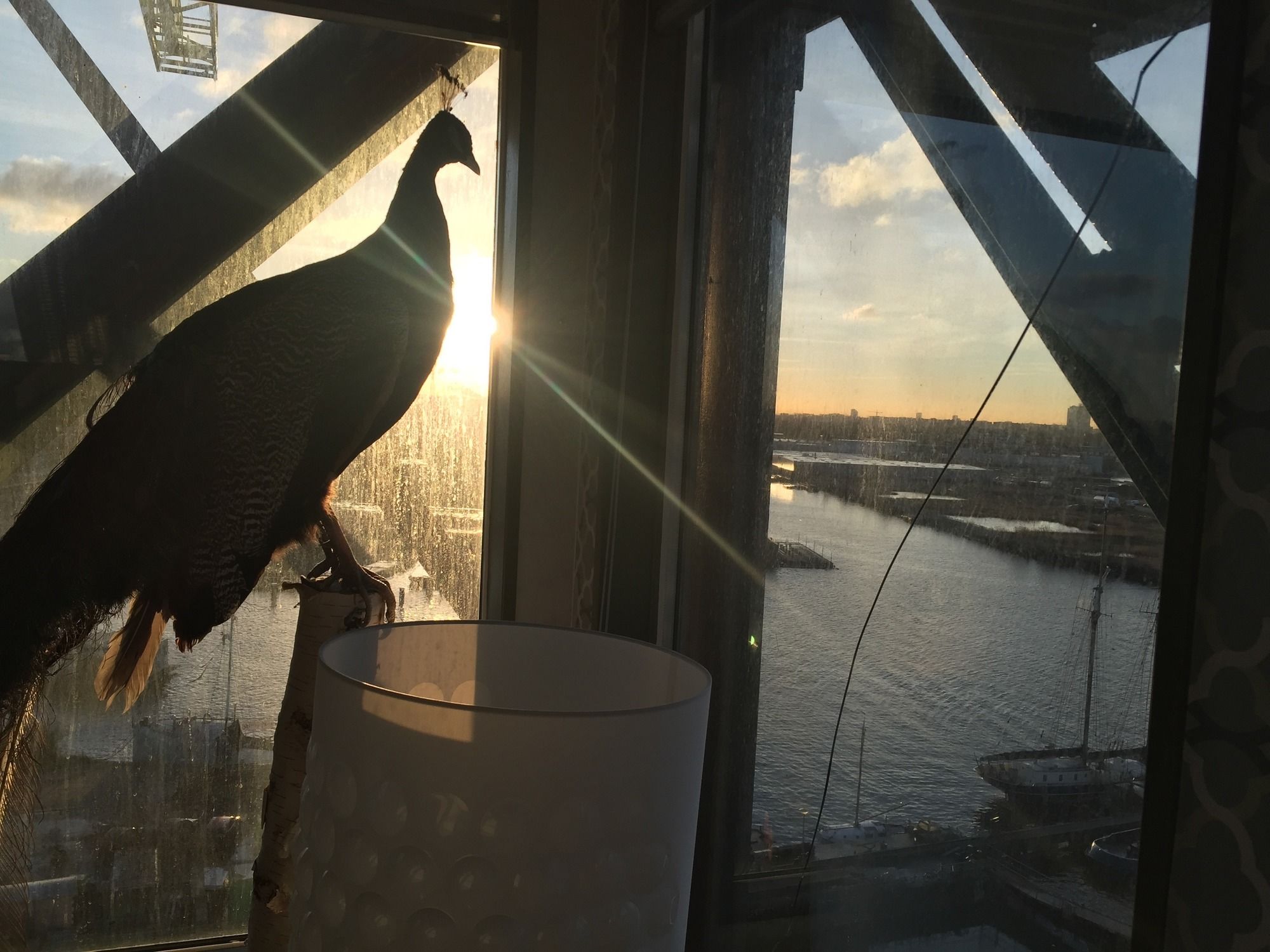 Фото Faralda Crane Hotel Amsterdam