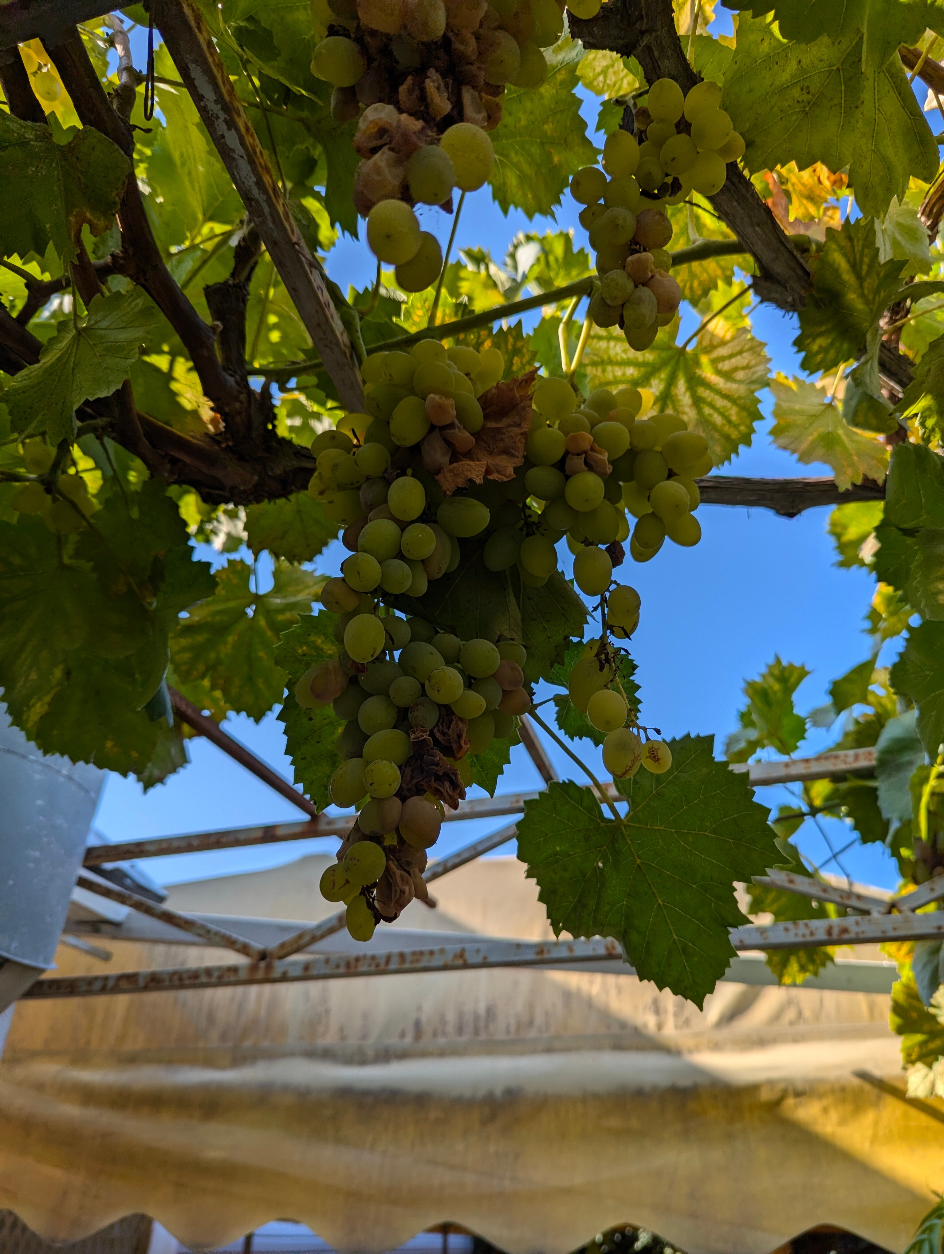 Фото Морское Небо