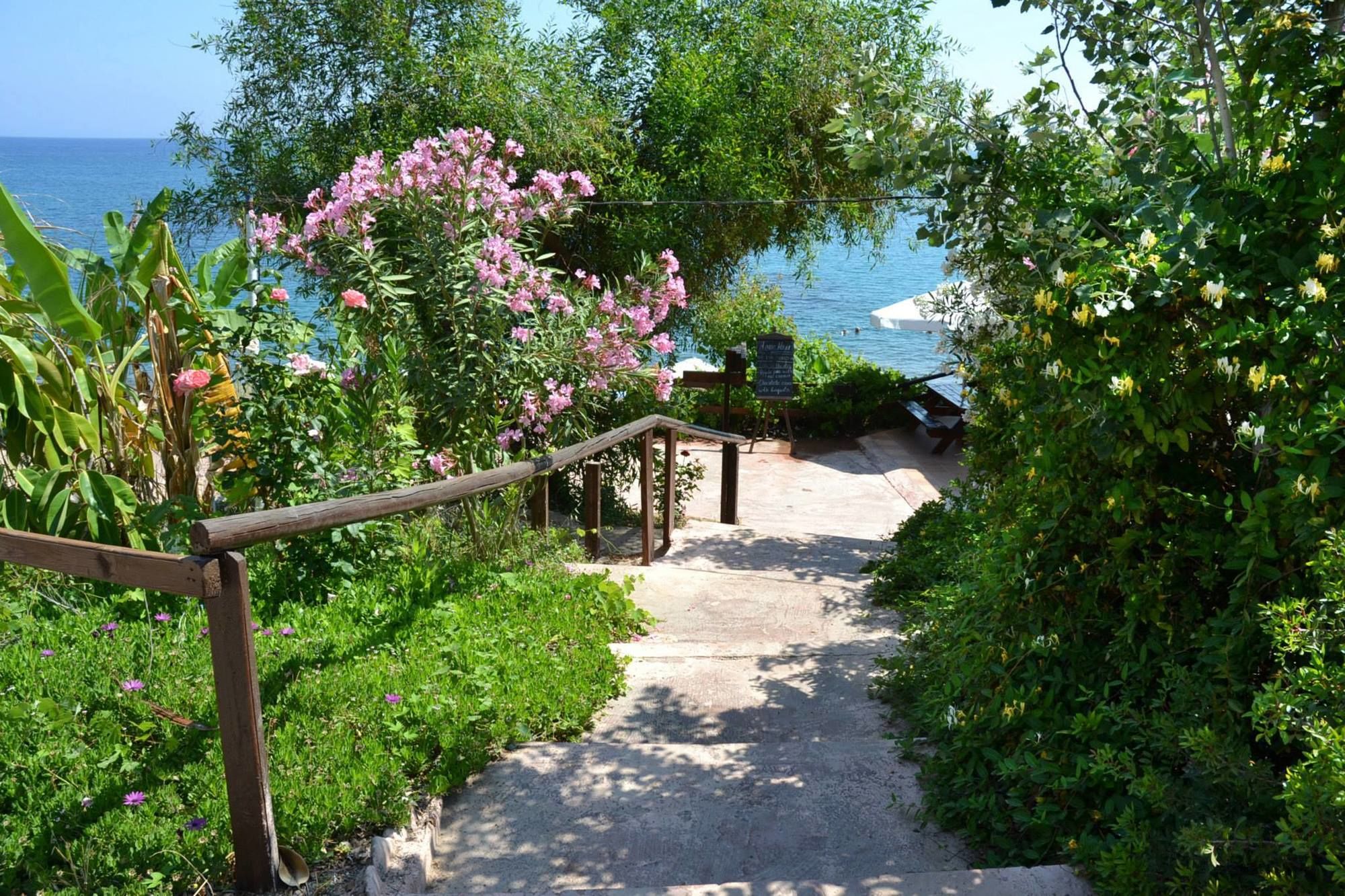 Фото Aphrodite Beach Hotel