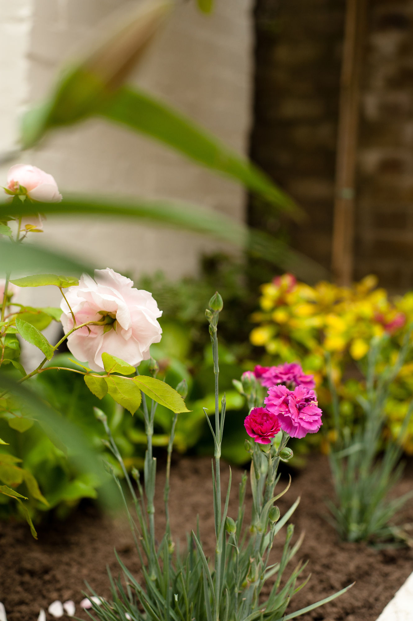 Фото Safestay London Elephant & Castle