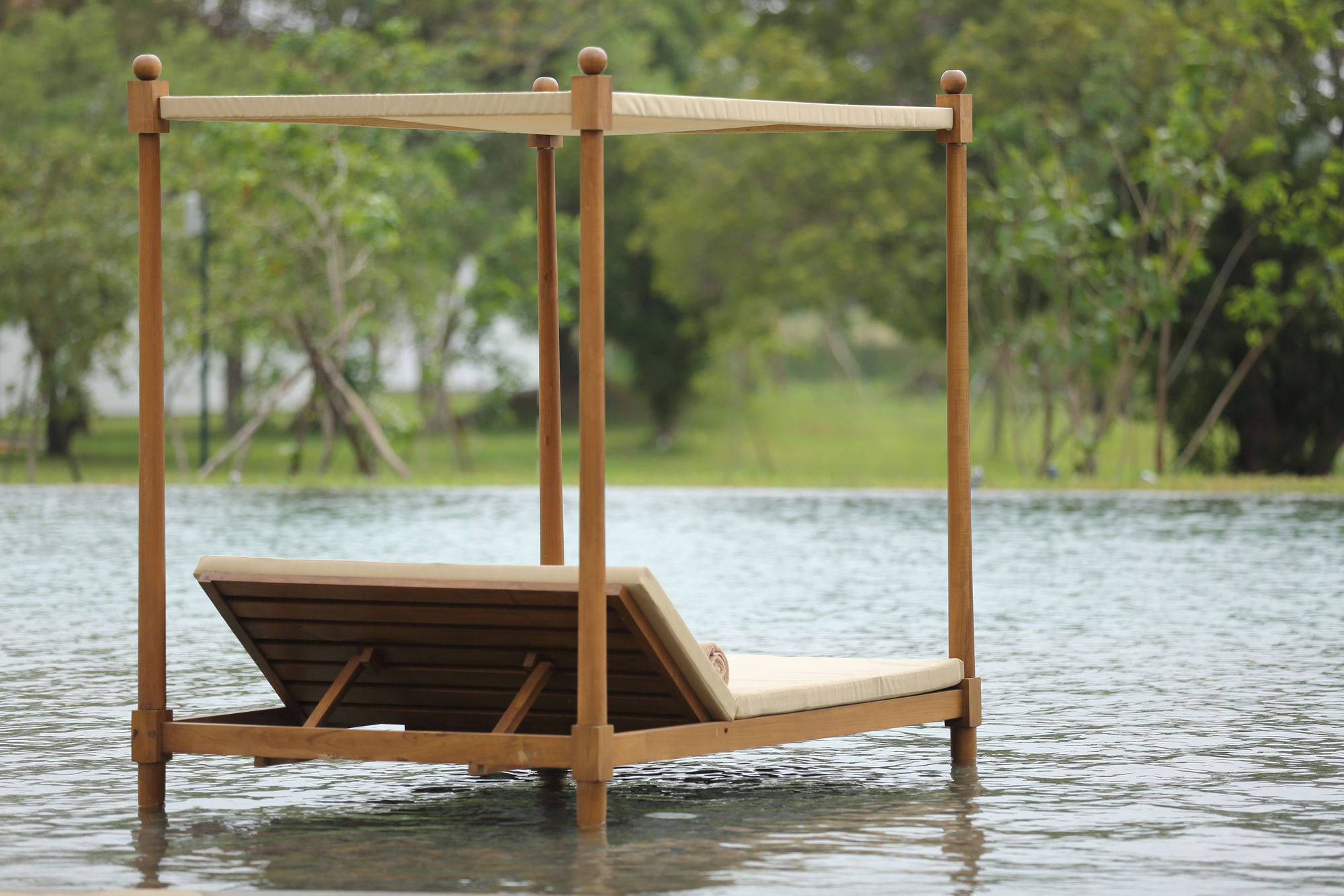 Фото La Jungle Vista sigiriya