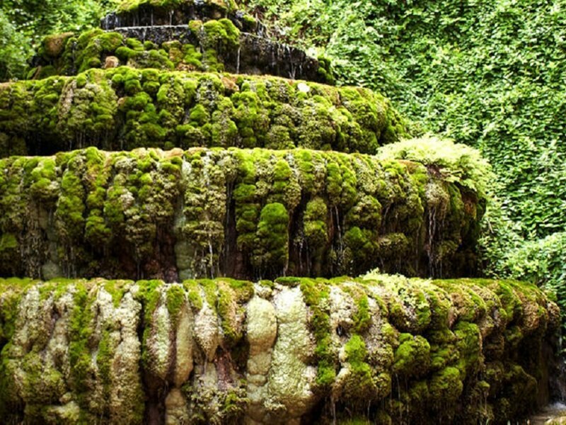 Фото Balneario Seron