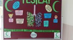 Ibb Evliya Celebi Primary School (İstanbul, Arnavutköy, Ömerli Mah., Terme Sok., 2) ، مدرسة ابتدائية