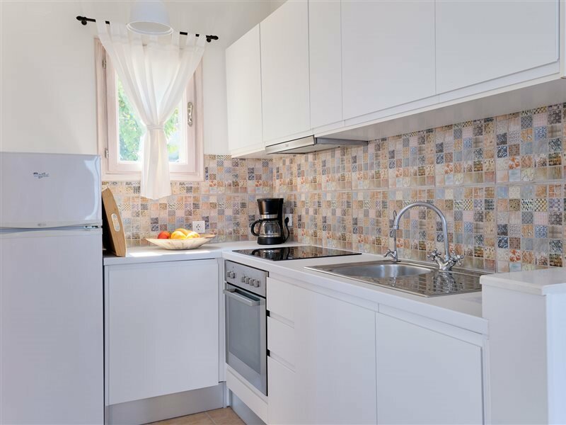 Фото Little Bird