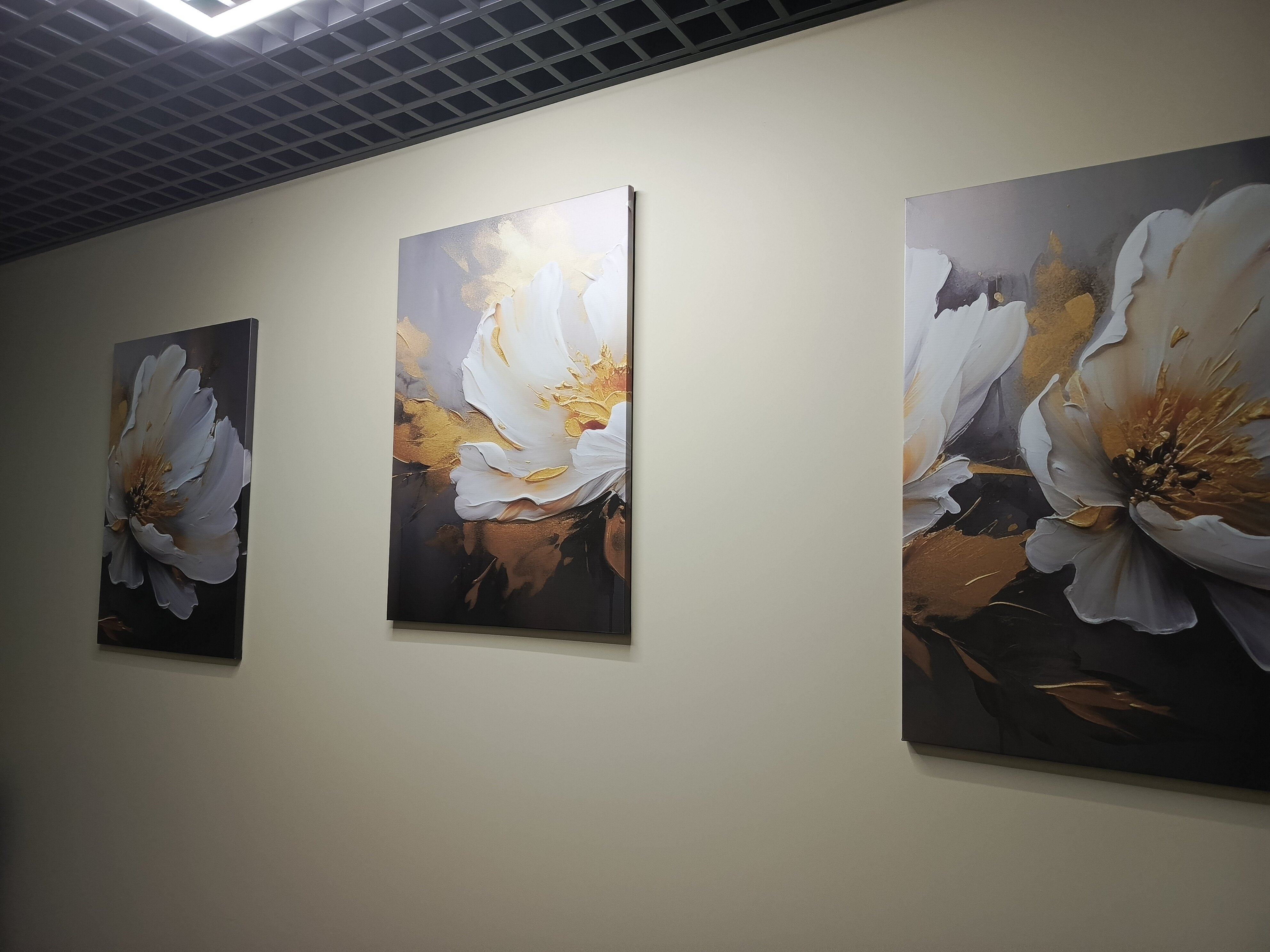 Фото Сканди