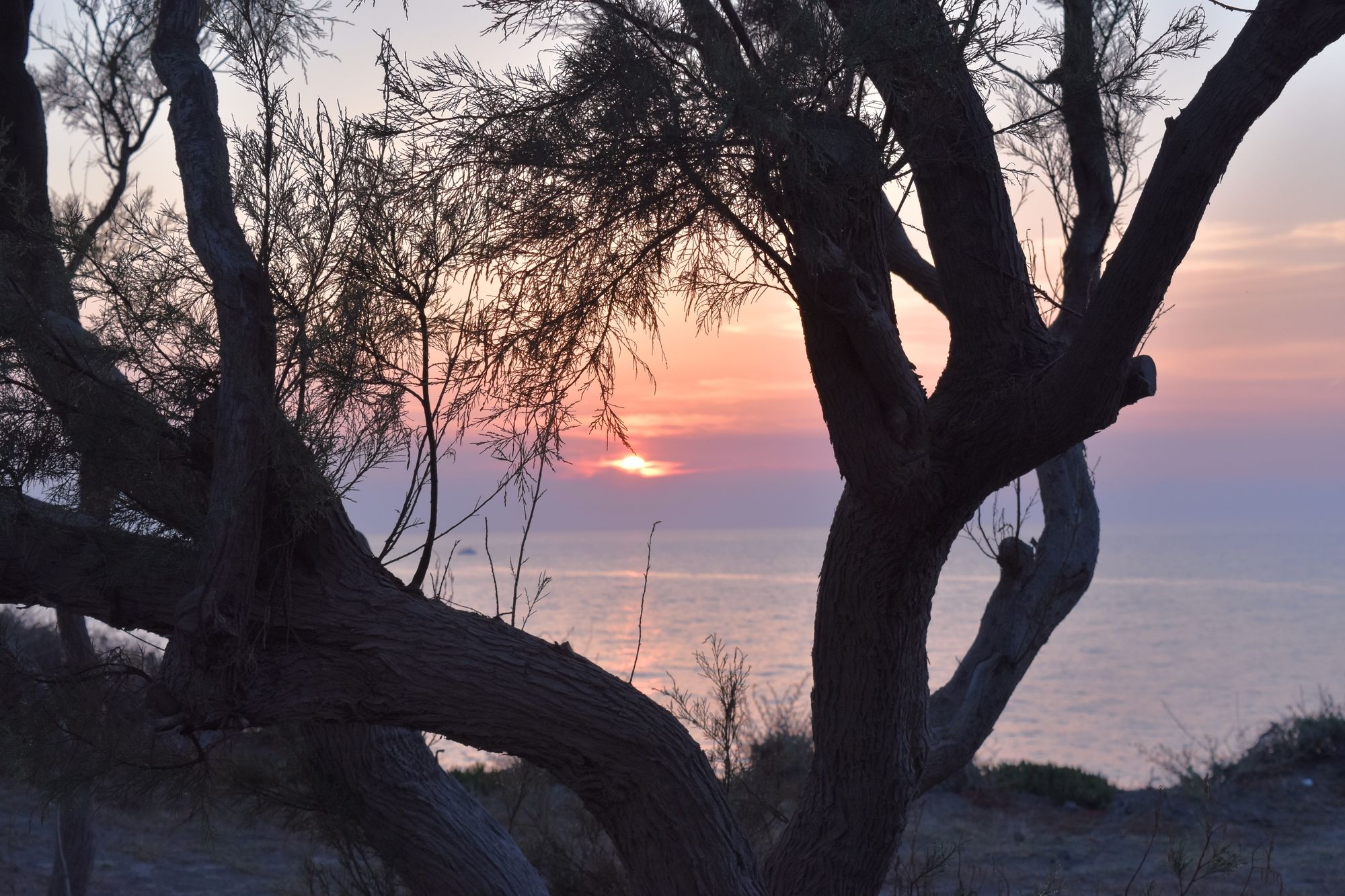 Фото Mare Nostrum Santo