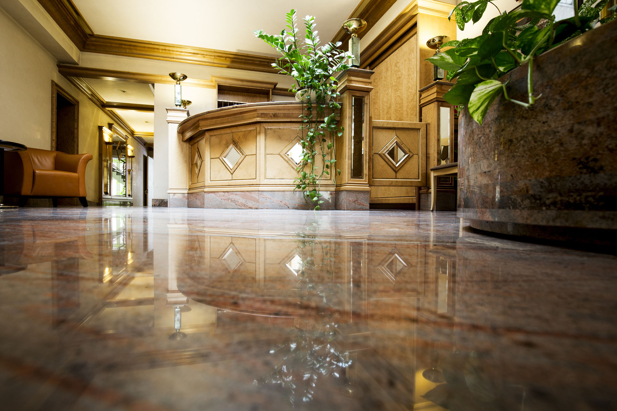 Фото Hotel Adler