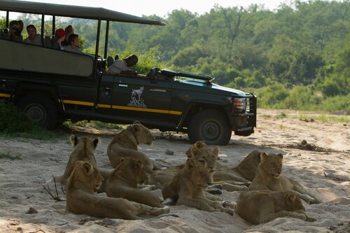 Гостиница Jock Safari Lodge