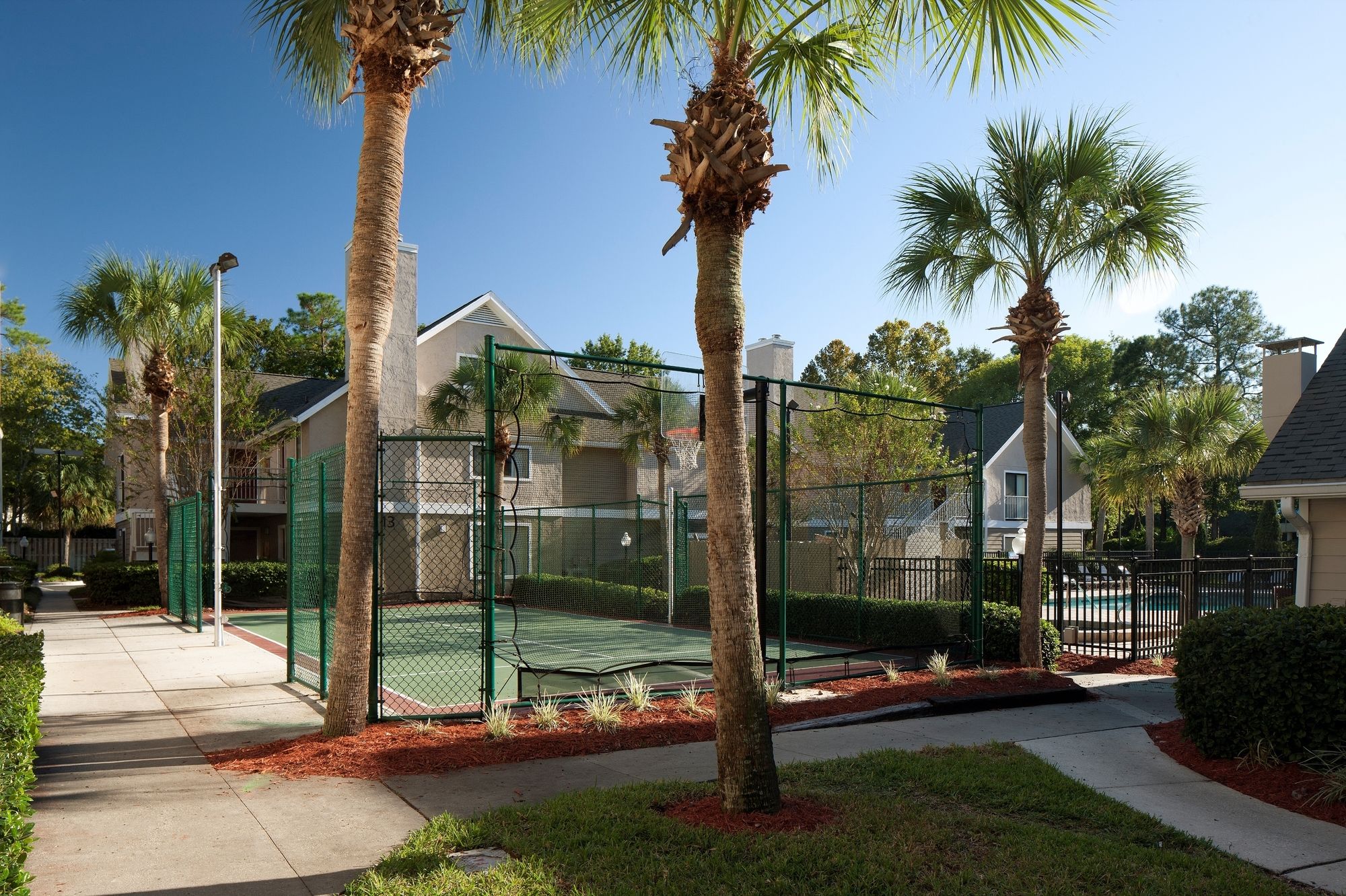 Фото Sonesta Es Suites Jacksonville