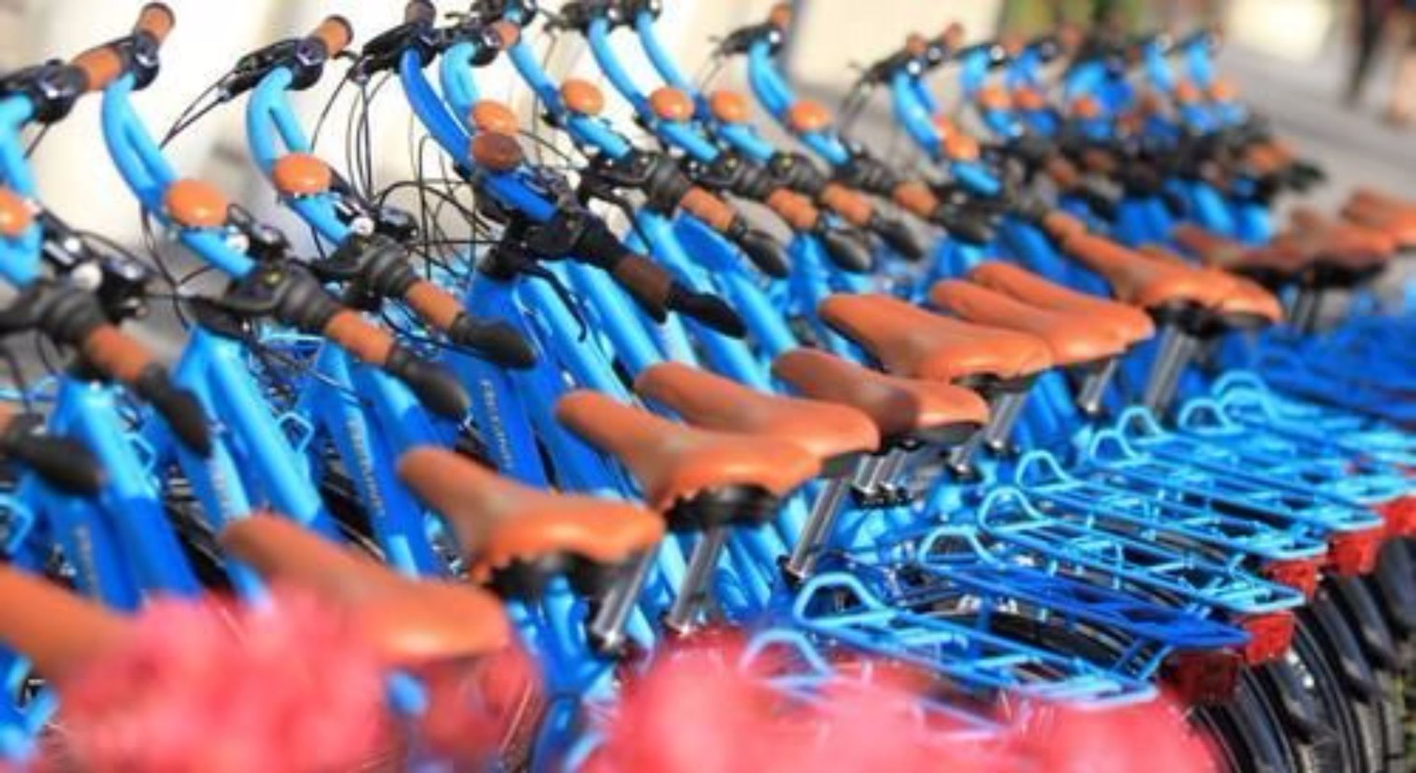 Фото Grand Hotel da Vinci