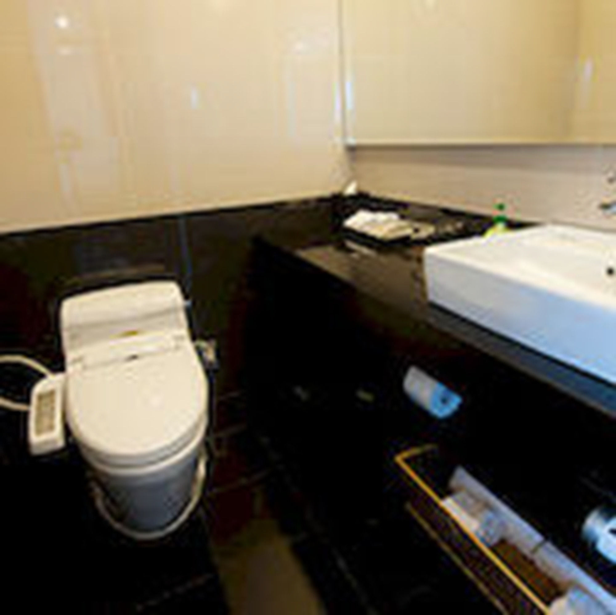 Фото Sakura Hotel II