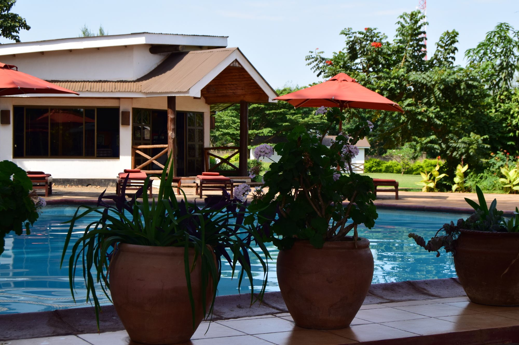 Фото Ameg Lodge Kilimanjaro