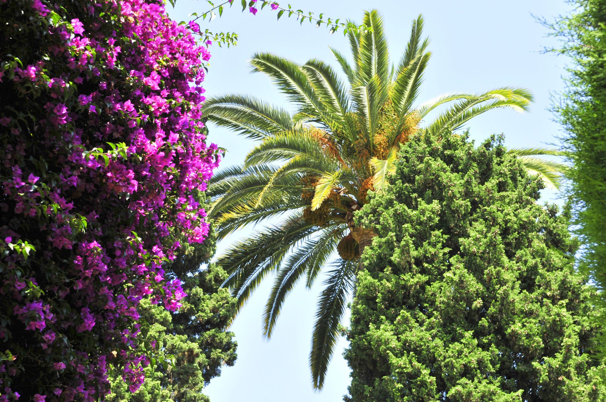 Фото L'Orangeraie Hotel by Miléade