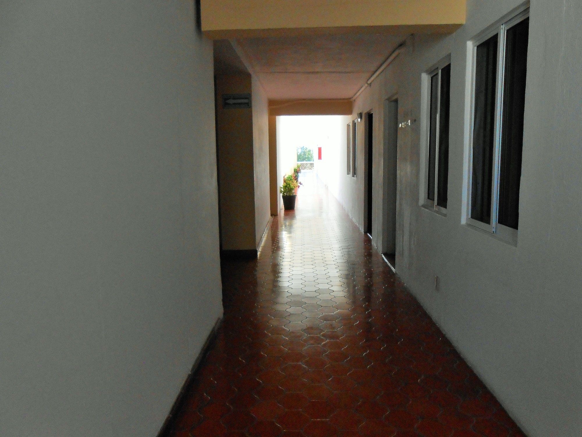 Фото Hotel Las Jacarandas