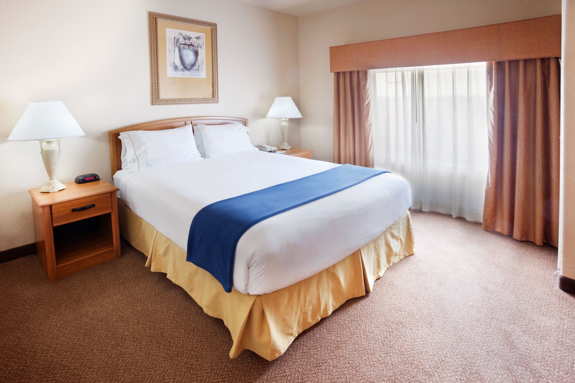 Фото Holiday Inn Express Hotel & Suites Mission-McAllen Area, an Ihg Hotel
