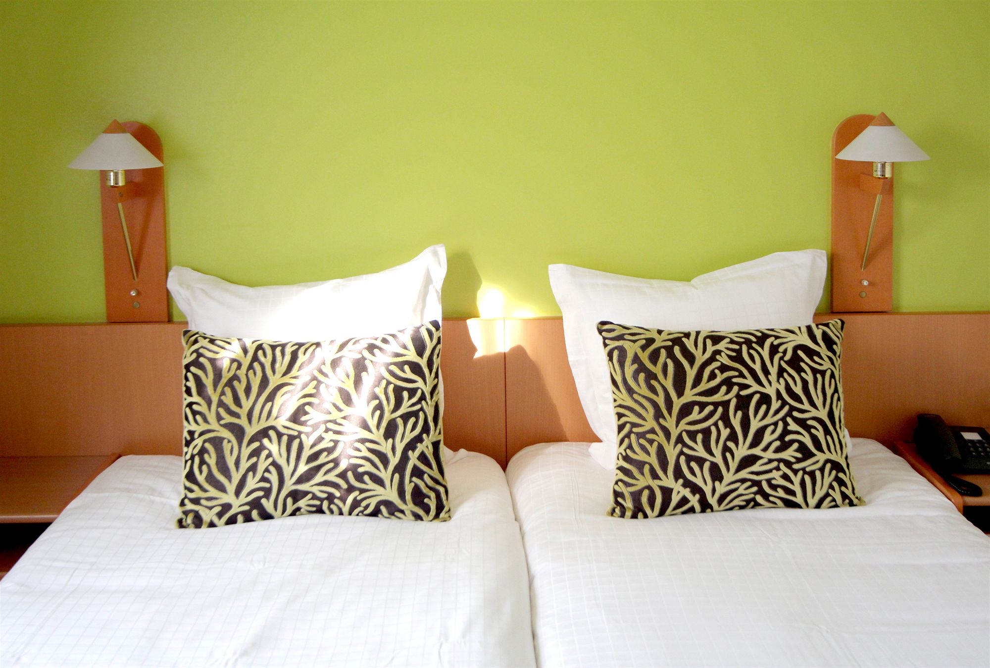 Фото 33481439554