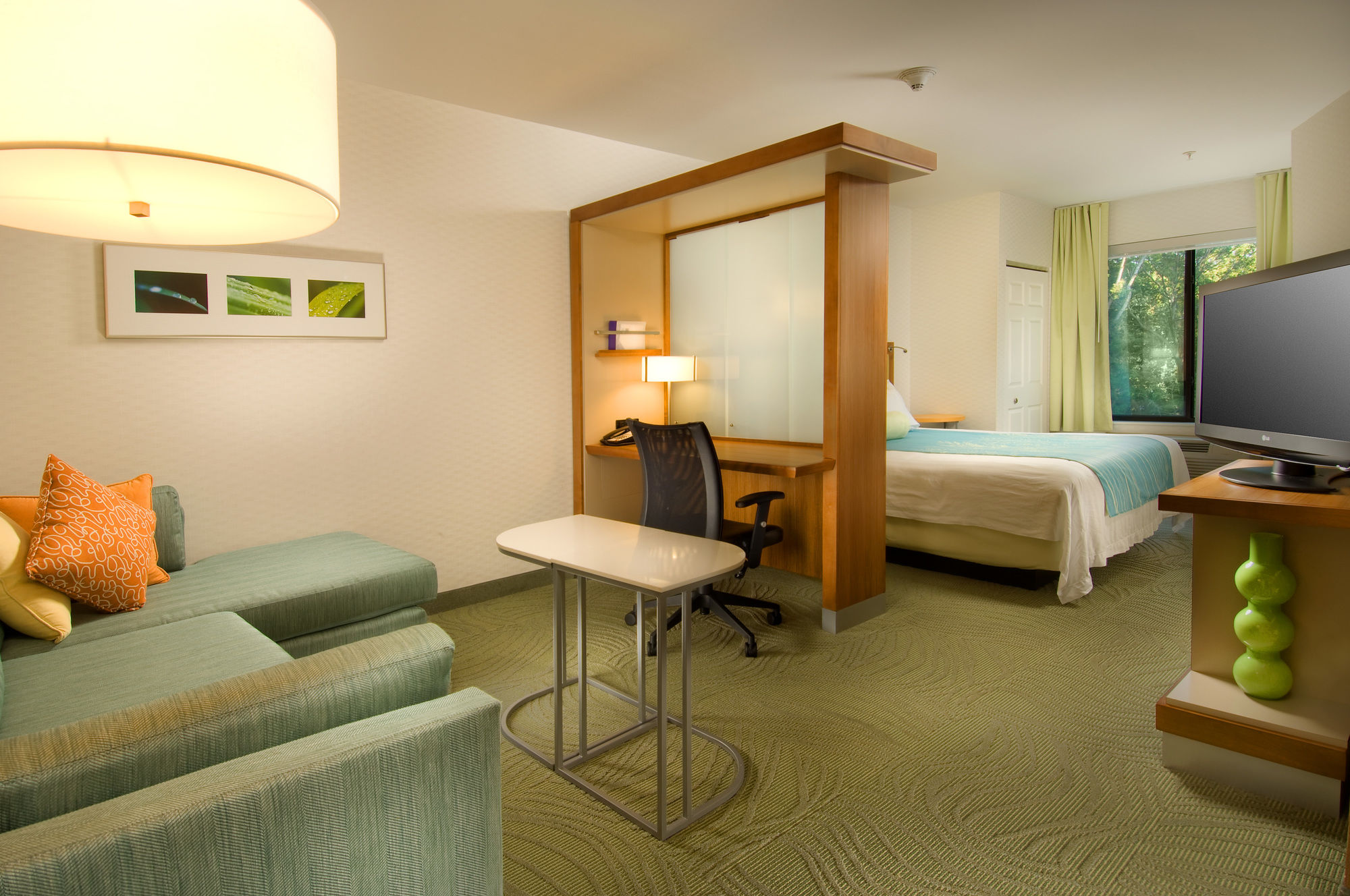 Фото SpringHill Suites Alexandria