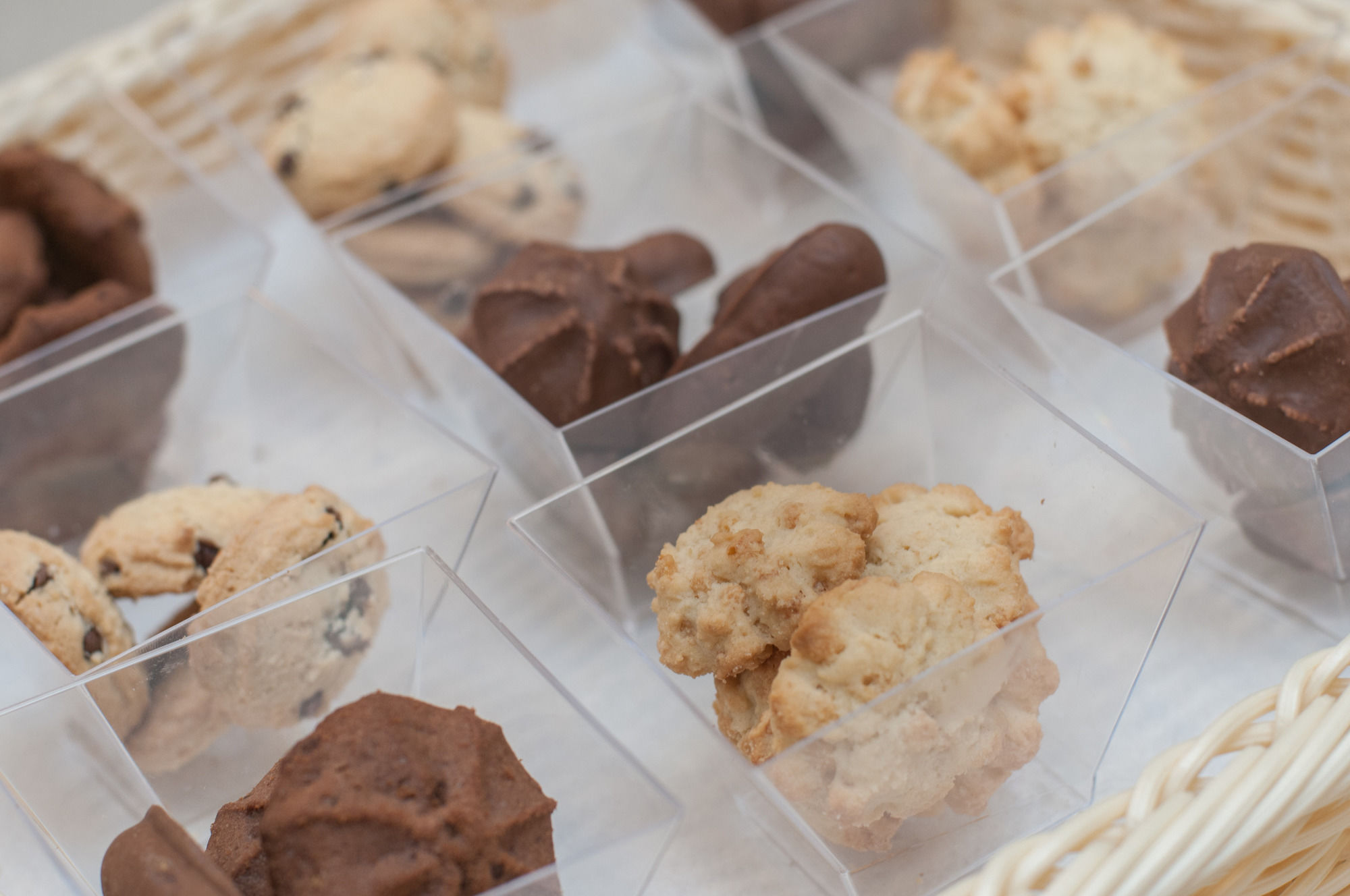 Фото Astoria Vico Hotel