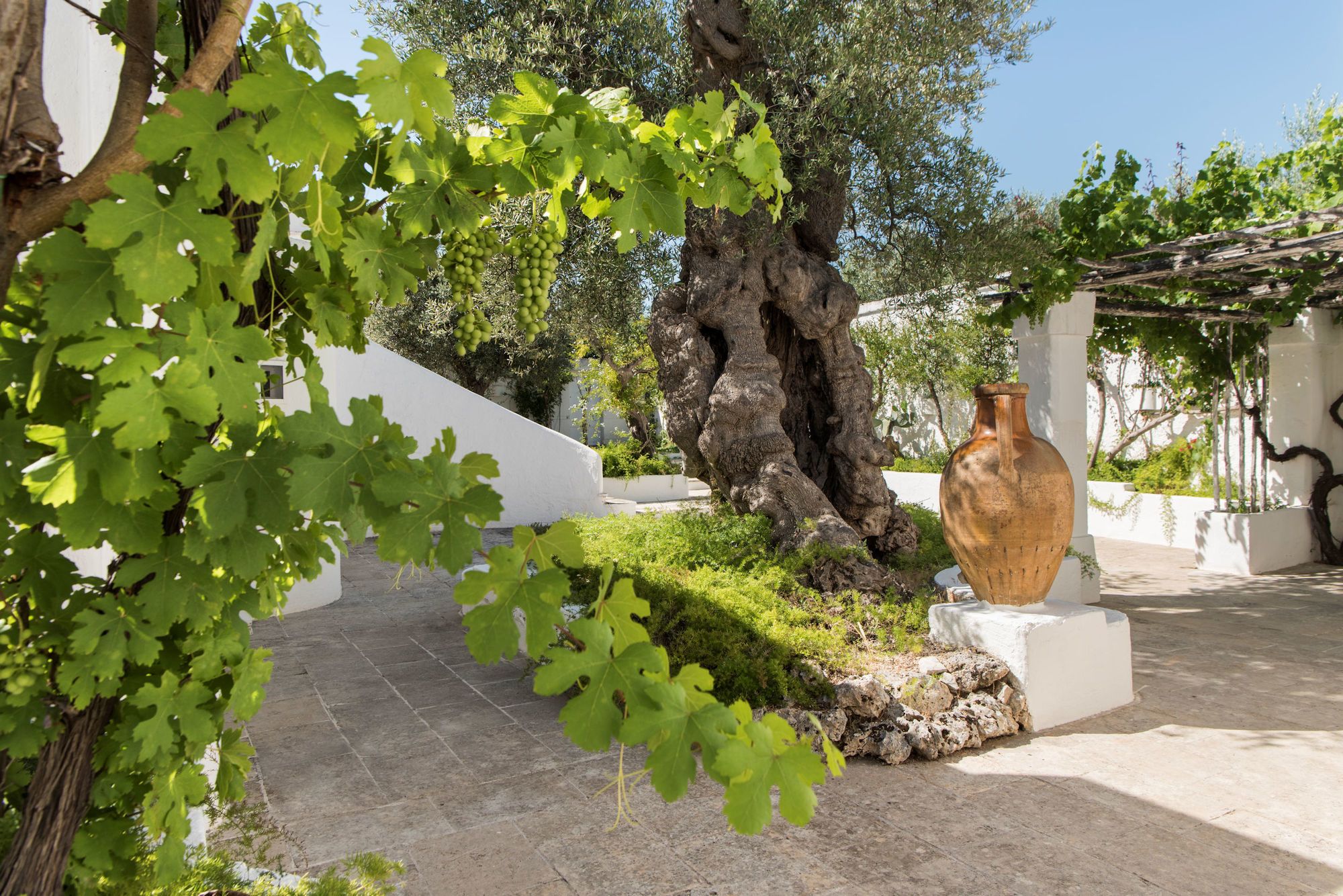 Фото Il Melograno