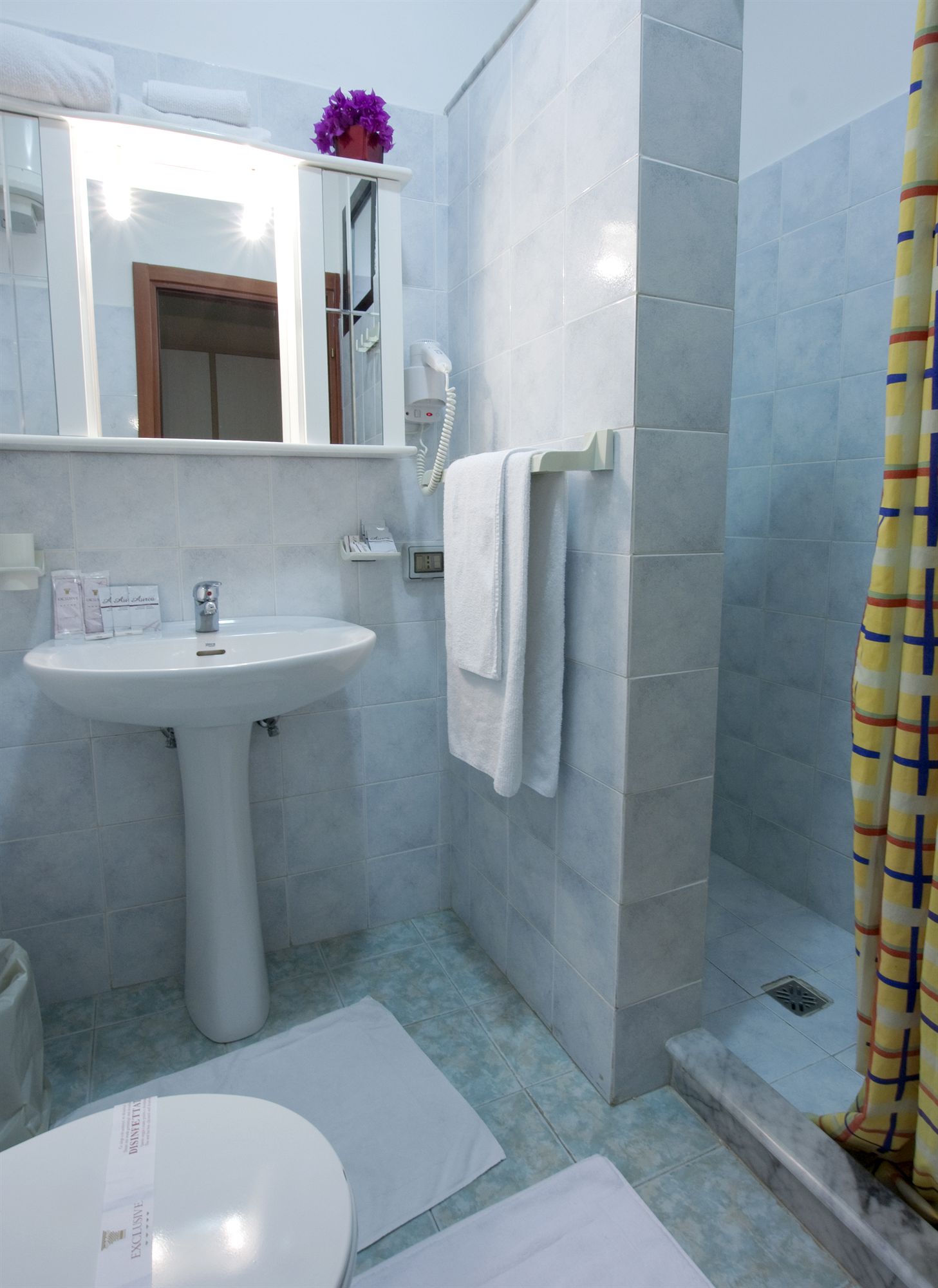 Фото Hotel Residence Nemo