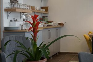 Гостиница Piano Hotel