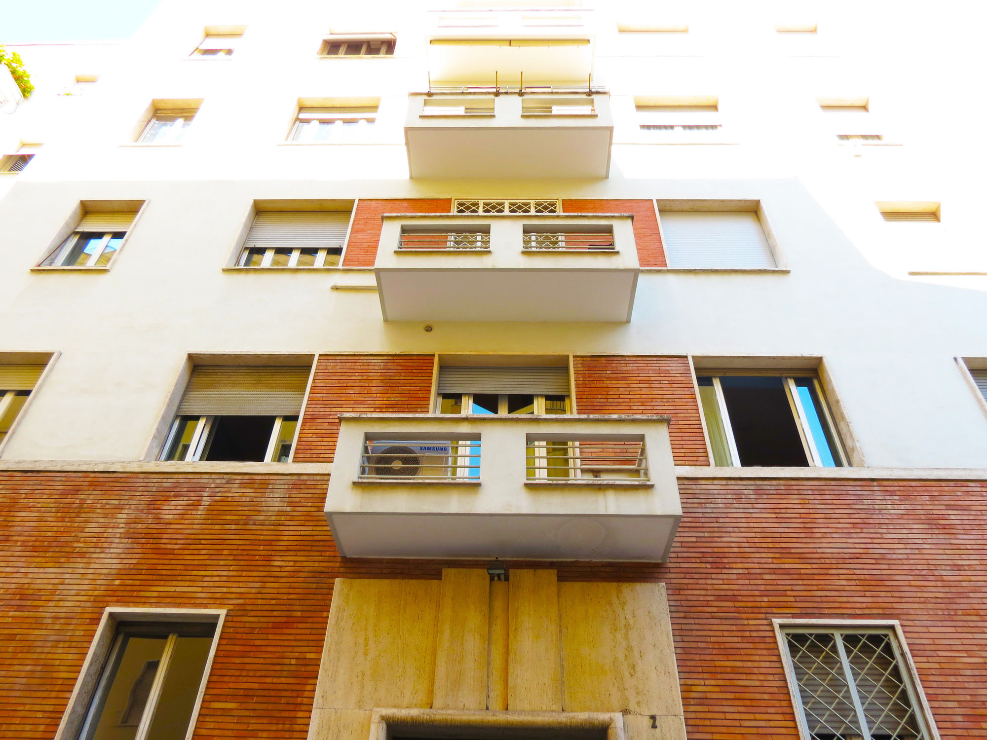 Фото New Paradise