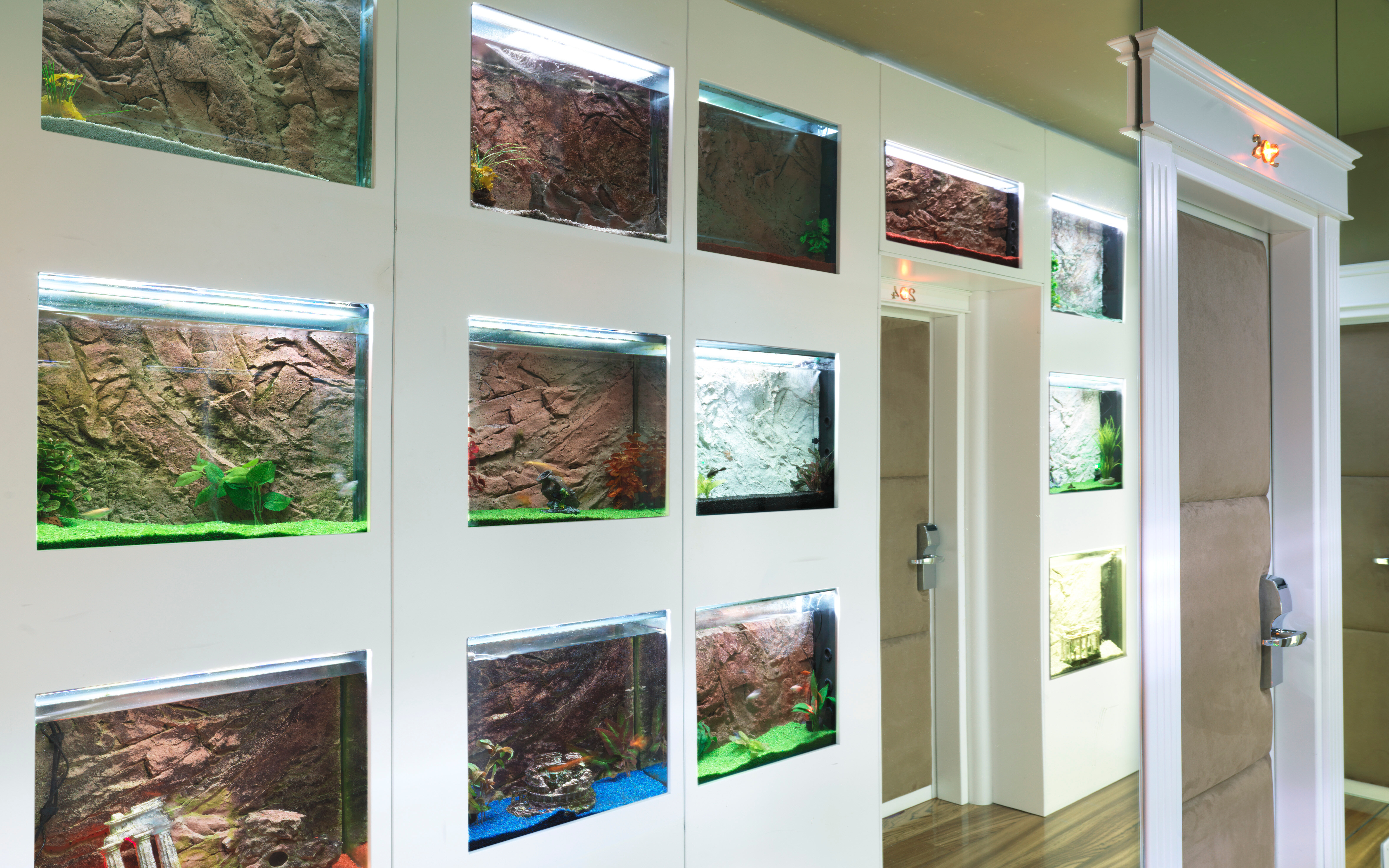 Фото Spagna Royal Suite