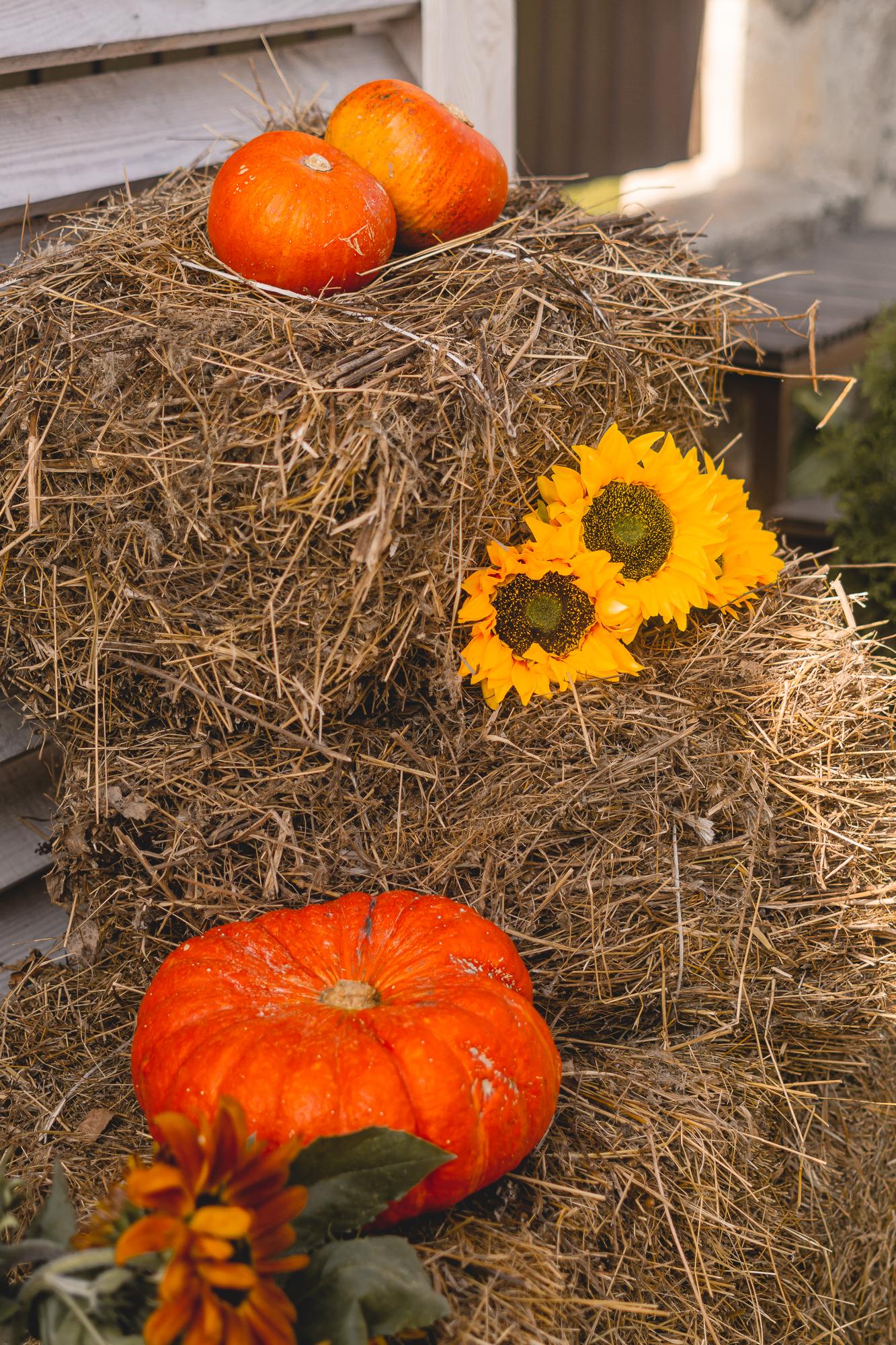 Фото Усадьба