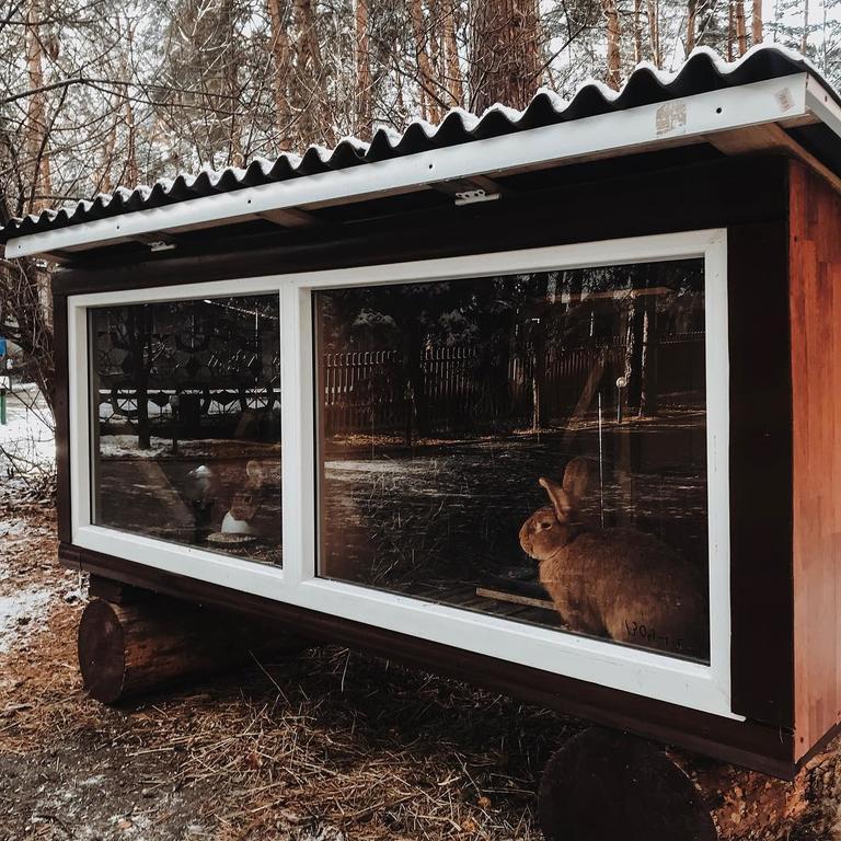 Фото Лесные дали