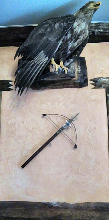 Фото Каменка