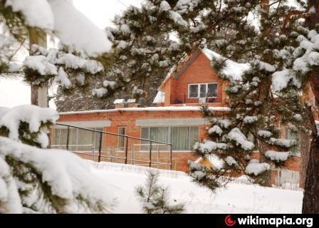 Фото Феликс