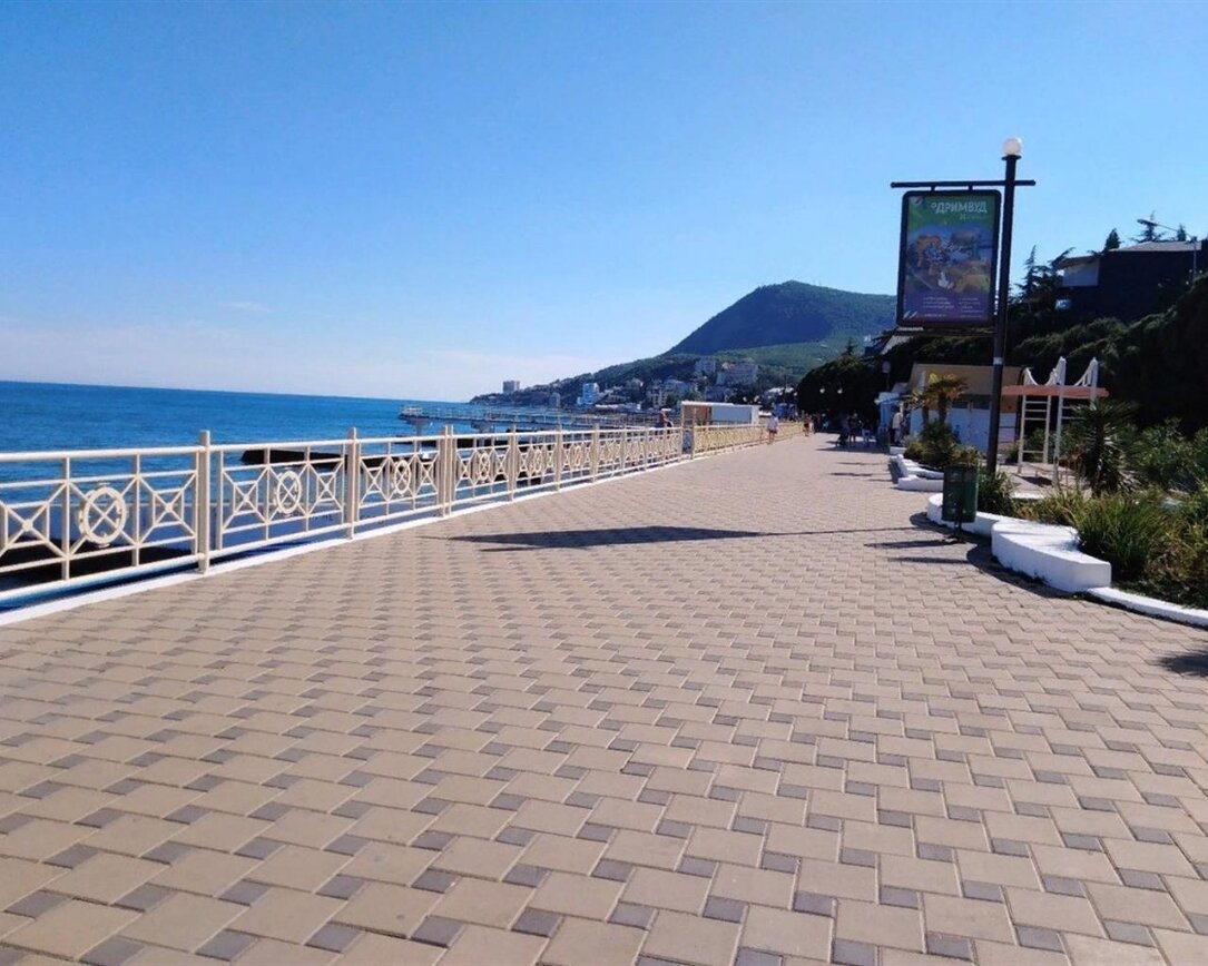 Фото Пеликан