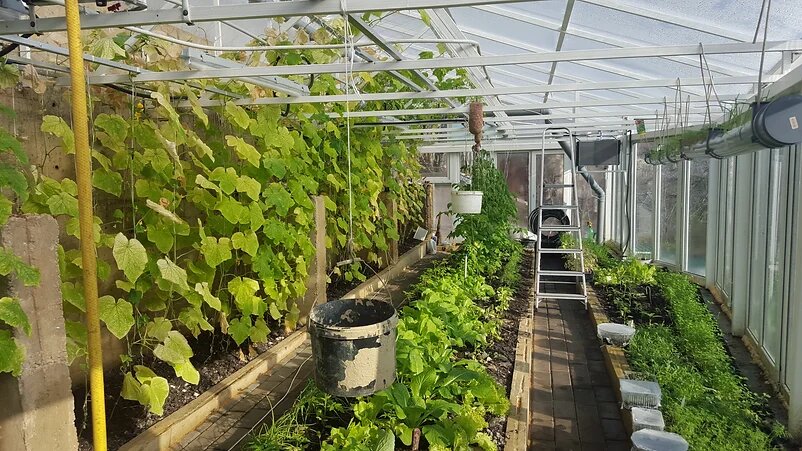 Фото Липовская