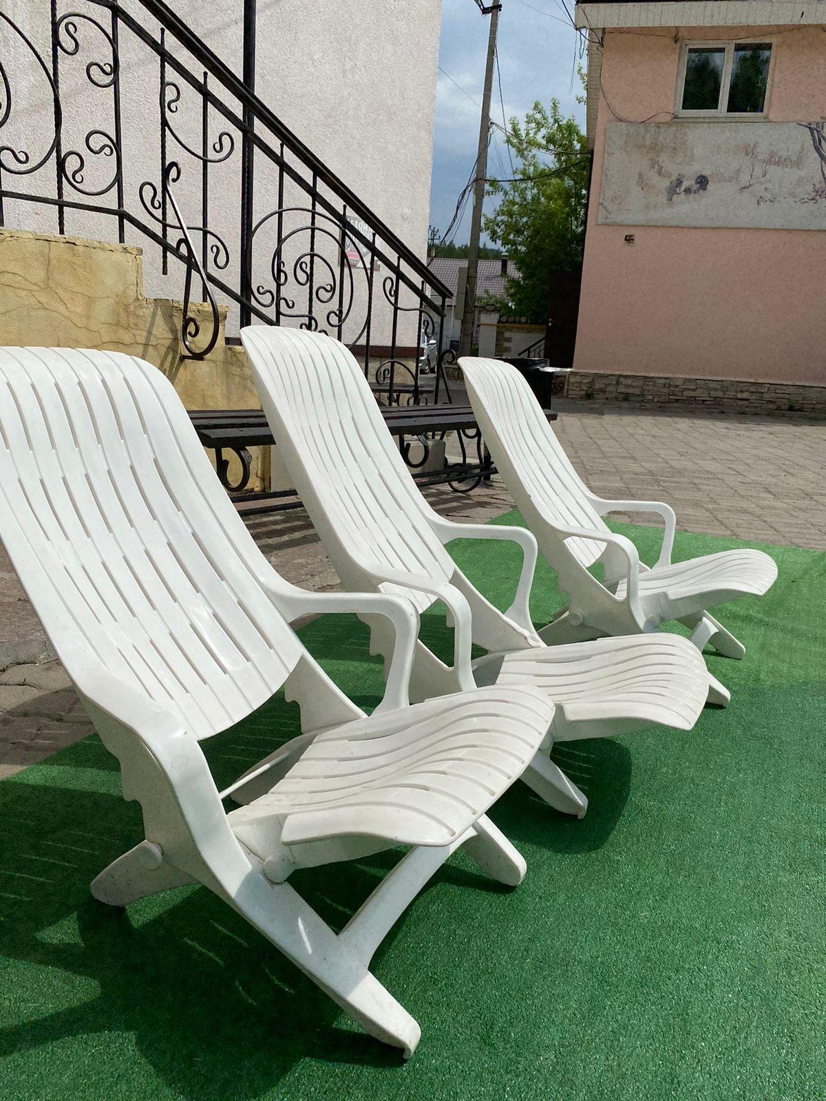 Фото Эдельвейс