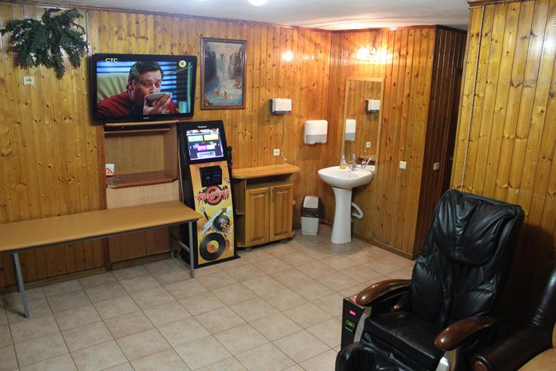 Фото Золотой лев