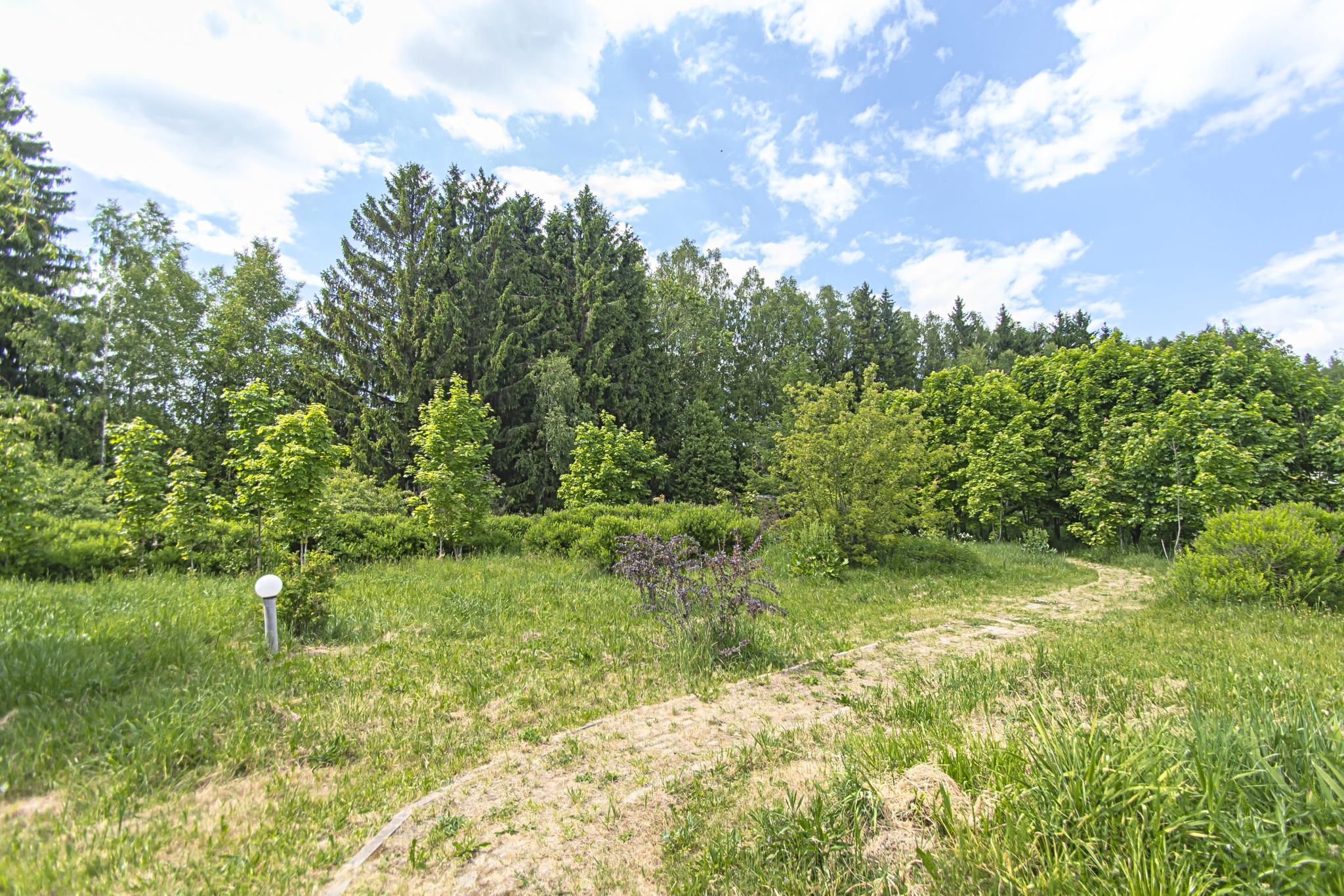 Фото Поле-отель Новая Салынь