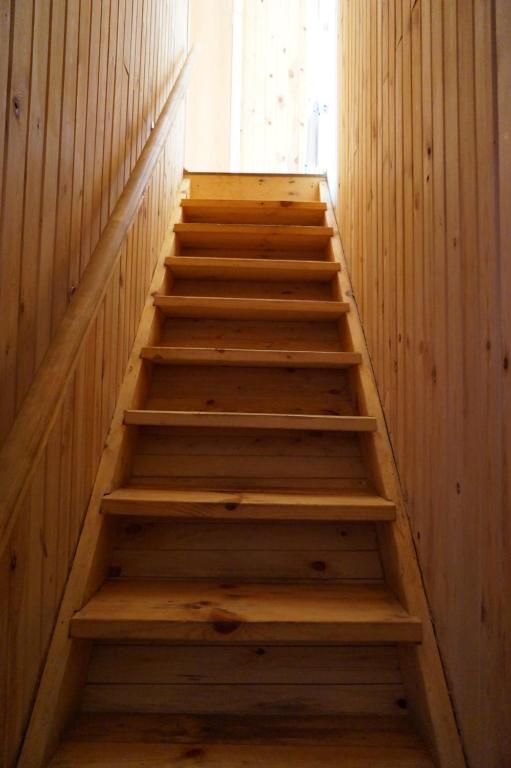 Фото Займище