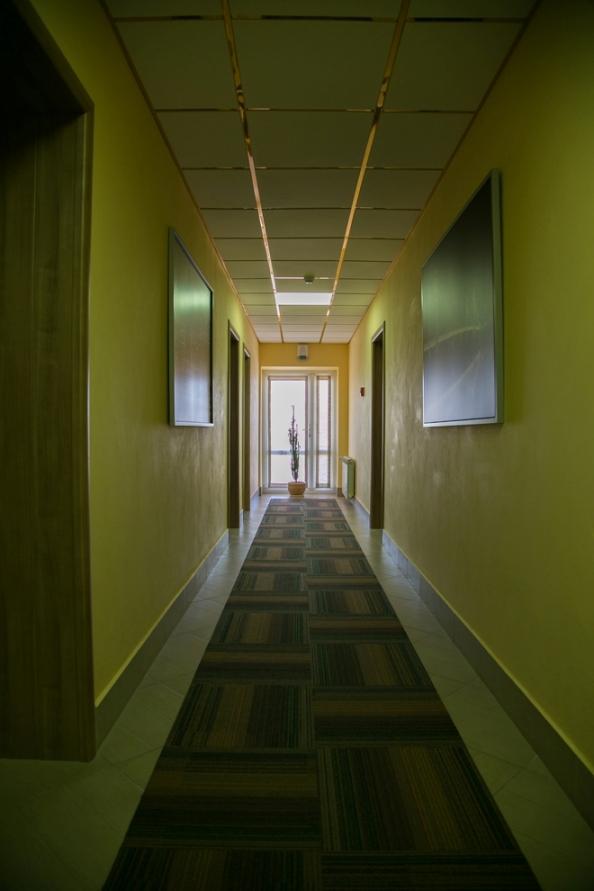 Фото Дружба