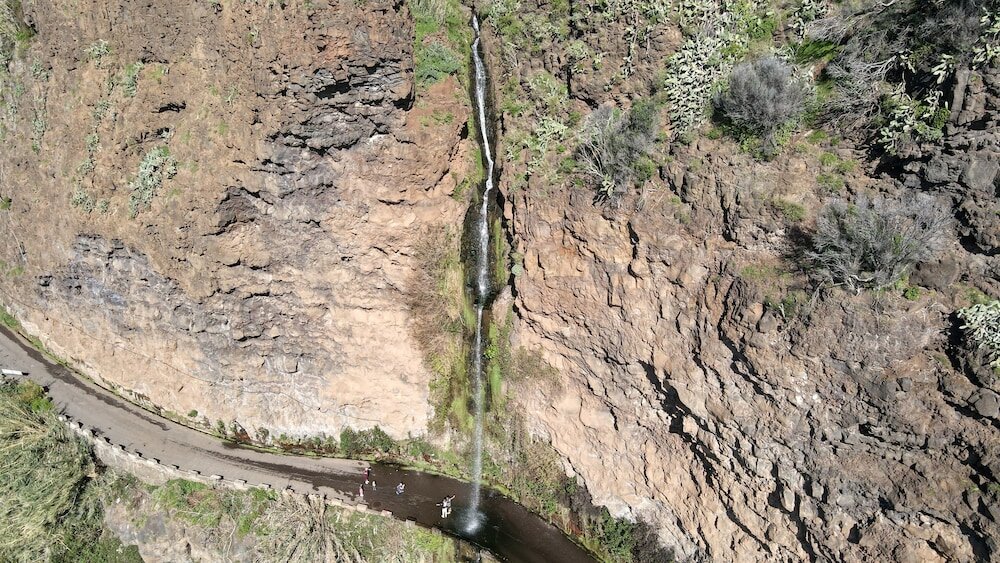 Фото 102185288666