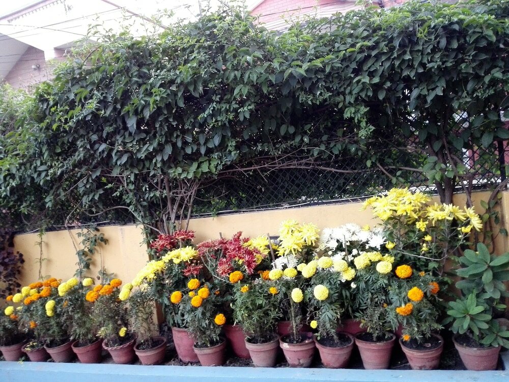 Фото Sagarmatha Apartment Bed & Breakfast