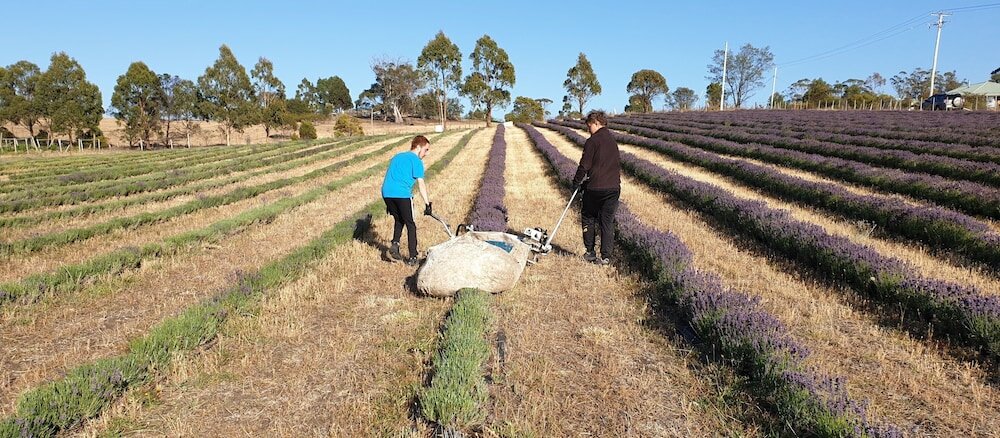 Фото Charles Reuben Estate