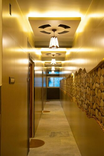 Гостиница Hotel Ganesh Palace