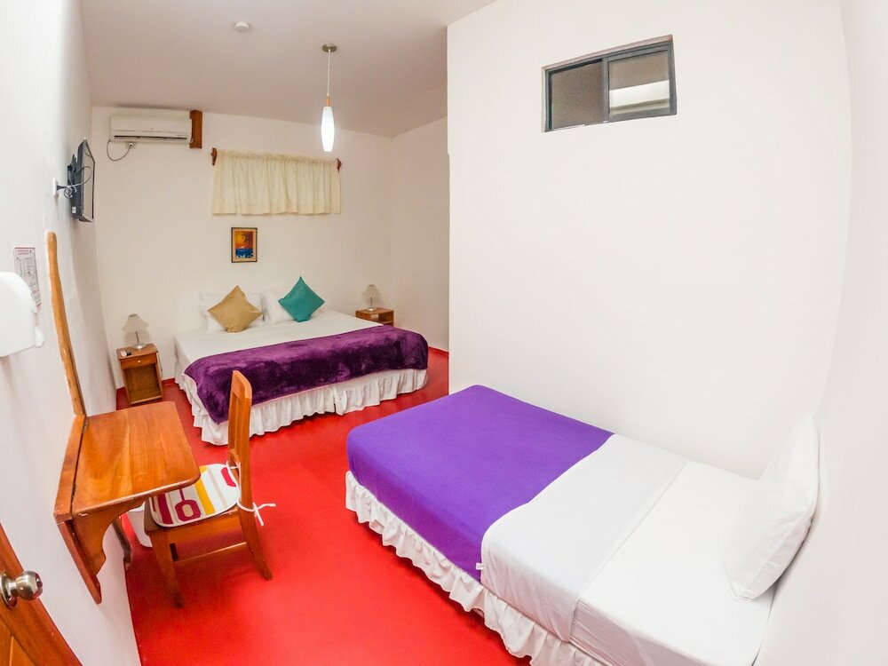 Фото Casa Fragata