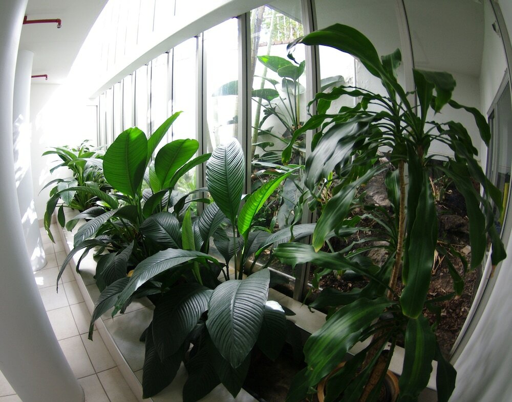 Фото Marriner Views